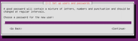 Ubuntu Server Password Setup
