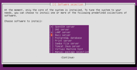 ubuntu package selection