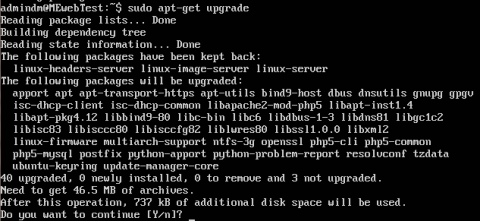 ubuntu server update