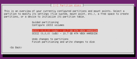 Ubuntu Server RAID setup