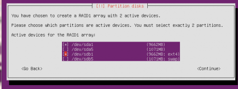 Ubuntu Server RAID Setup