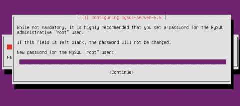 ubuntu server MySQL setup
