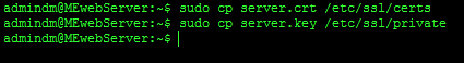 Ubuntu Server installing CA certificates