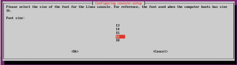 ubuntu server font size